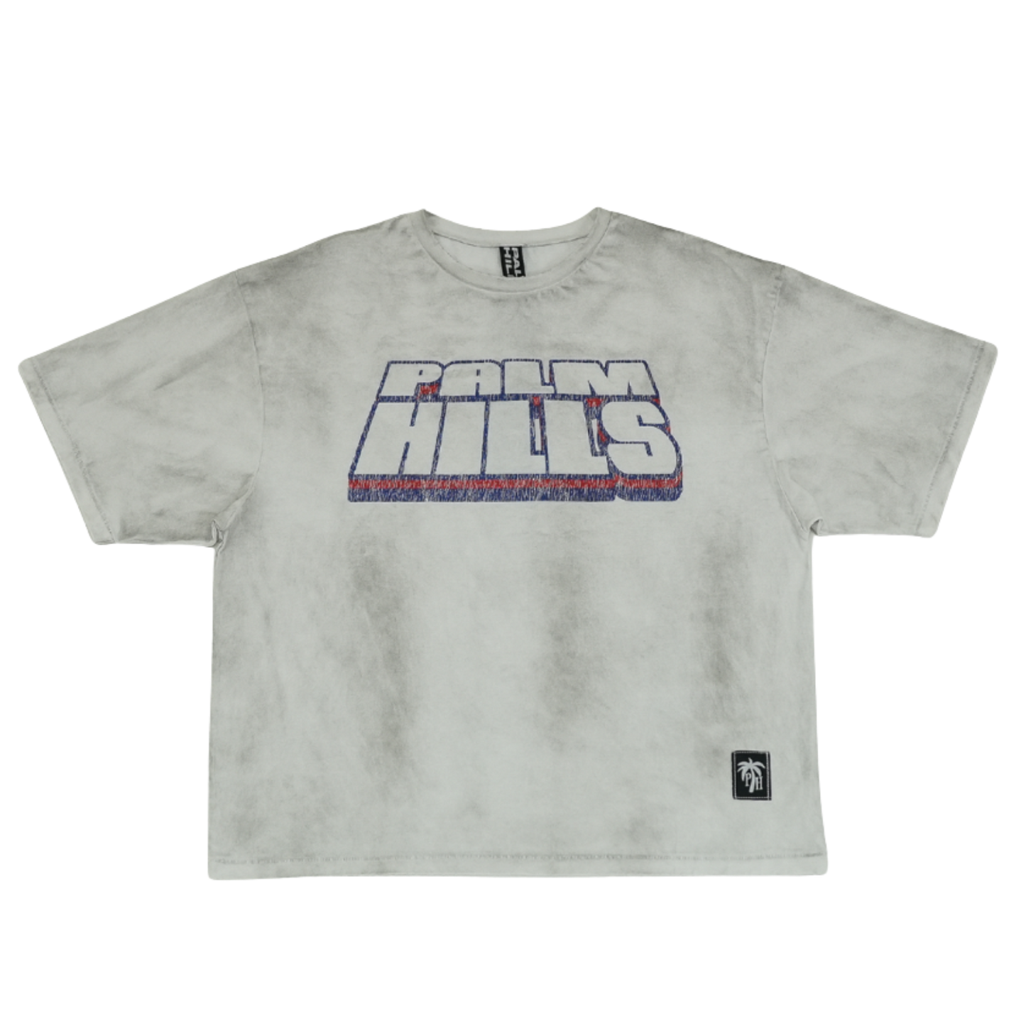 Retro Palm Hills Tee
